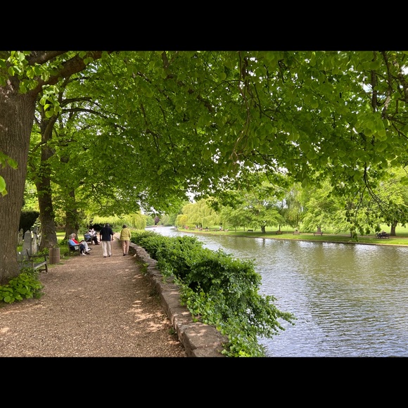 Free Shipping On Bundles Of Three Or More Items - Picture 6 of 13